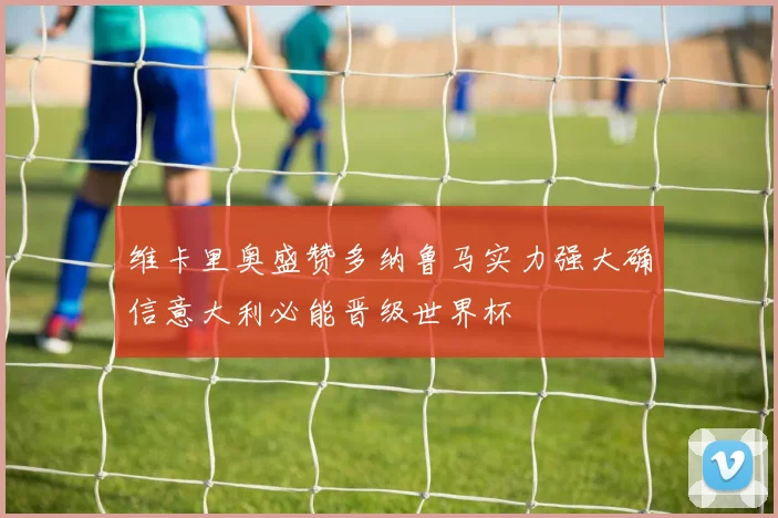 维卡里奥盛赞多纳鲁马实力强大确信意大利必能晋级世界杯