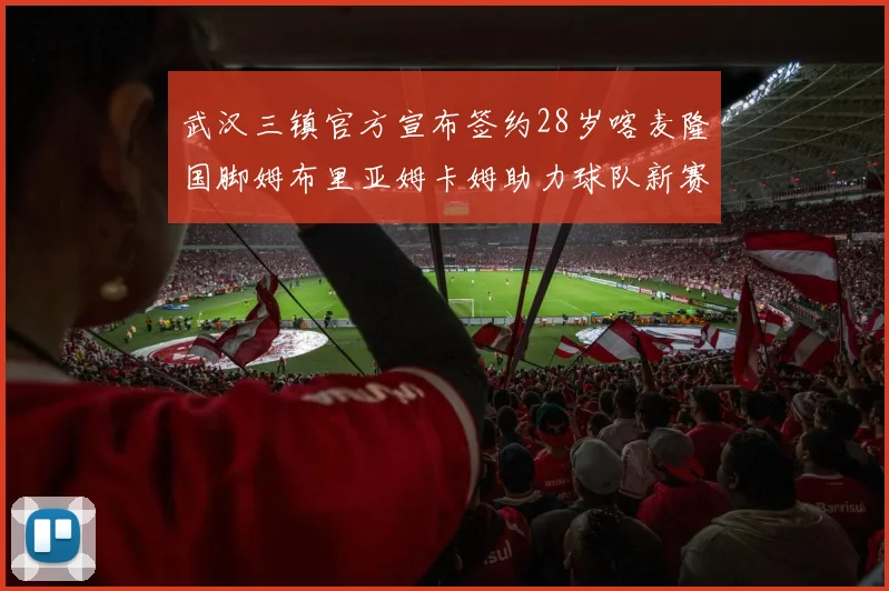 武汉三镇官方宣布签约28岁喀麦隆国脚姆布里亚姆卡姆助力球队新赛季