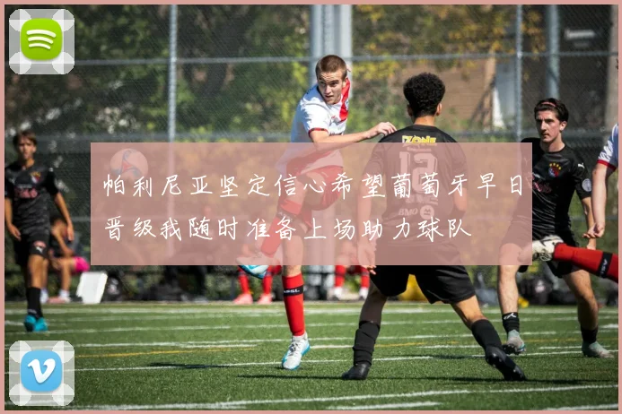 帕利尼亚坚定信心希望葡萄牙早日晋级我随时准备上场助力球队