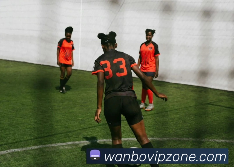 多媒体互动体验